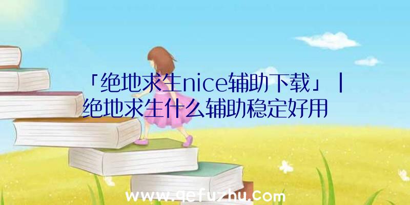 「绝地求生nice辅助下载」|绝地求生什么辅助稳定好用